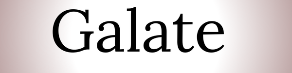 Galate.nl